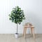 4ft. Artificial Ficus Tree with Decorative Planter